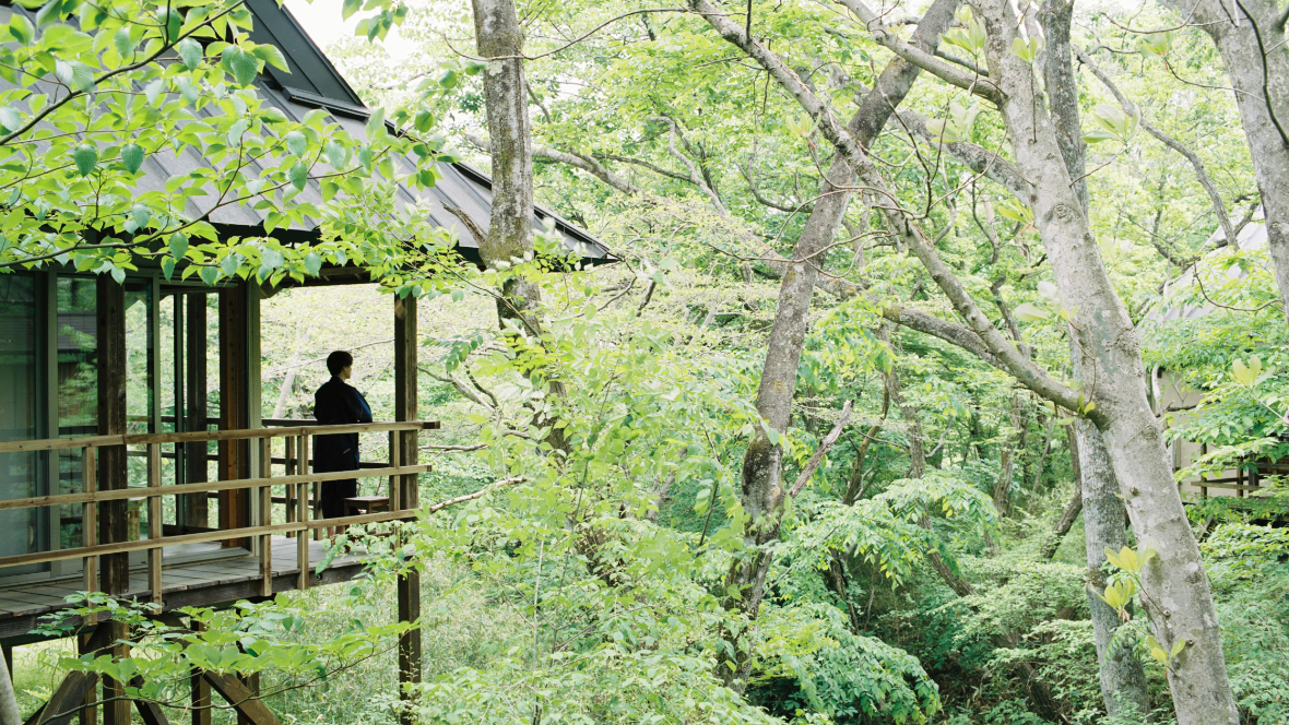 温泉山荘 だいこんの花 様